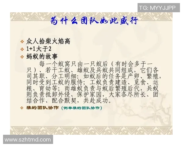 总决赛精彩回顾与未来展望聚焦冠军之路与团队精神的力量 总决赛精彩回顾与未来展望聚焦冠军之路与团队精神的力量