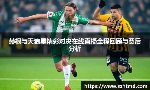 赫根与天狼星精彩对决在线直播全程回顾与赛后分析
